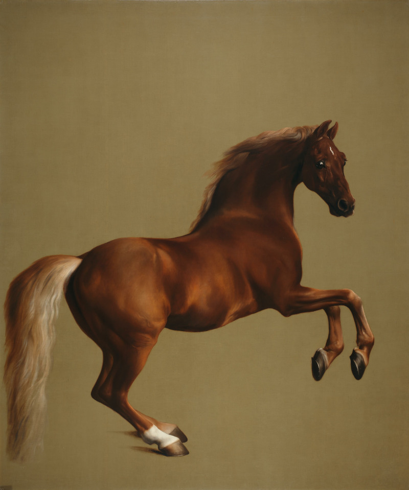 Whistlejacket by George Stubbs